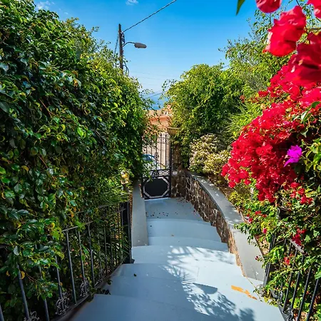 Villa Maravilla With Private Pool And Ocean View Los Menores